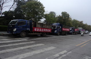 漁業增殖促生態，畜牧水產譜新篇——江西修水縣開展資源放流活動助力產業發展