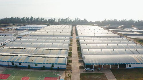 年銷售額達1.2億元，海威科技以創(chuàng)新引擎驅動水產種業(yè)振興